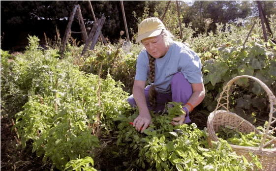 Shelley Arrowsmith at Arrowsmith Farms