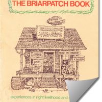 Cover Briarpatch Book